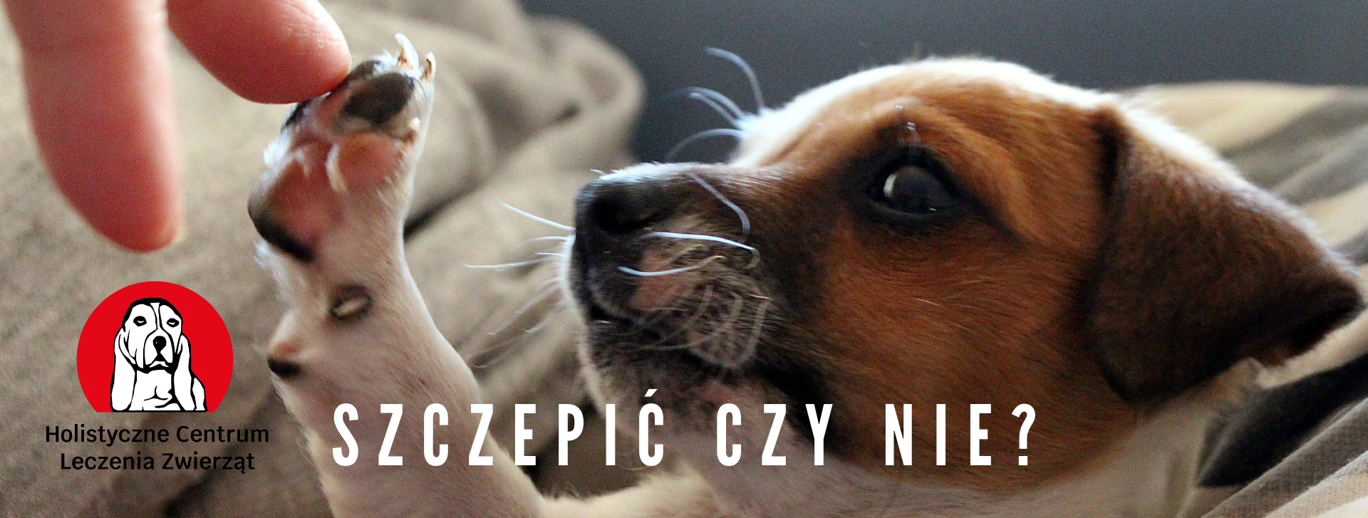 szczepić czy nie?